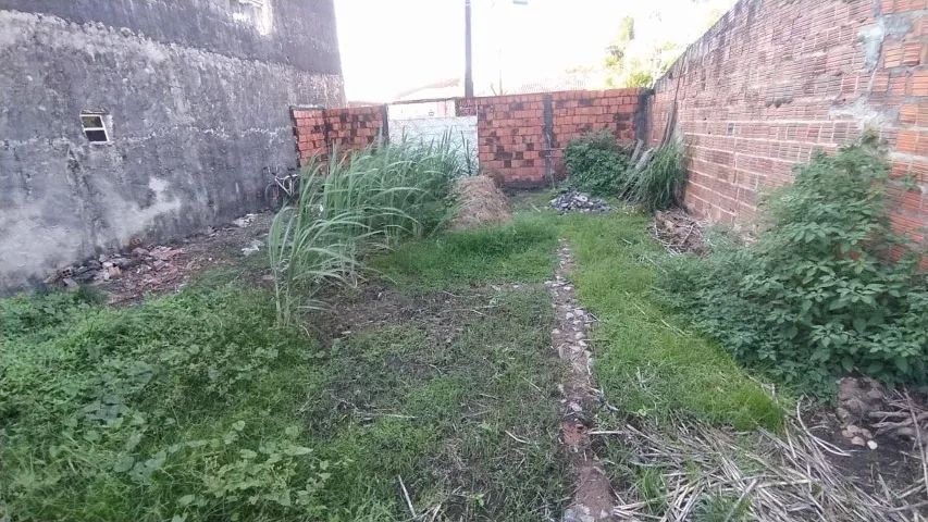 Vendo terreno na Caucaia medindo 9x25 - Foto 4