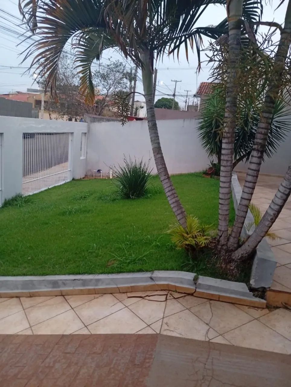 Jardinagem  - Foto 2