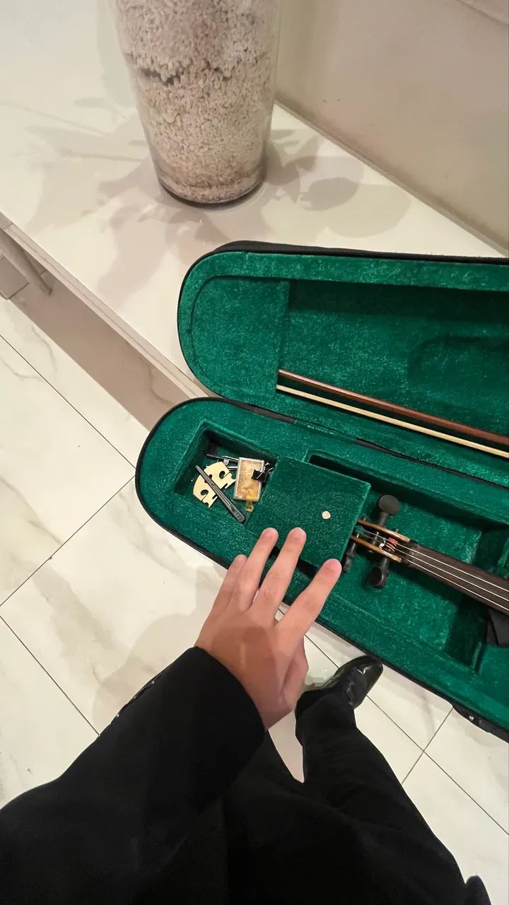 Violino  - Foto 2