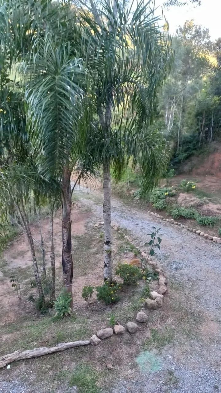 Sítio a venda - São Bonifácio/SC - Foto 4