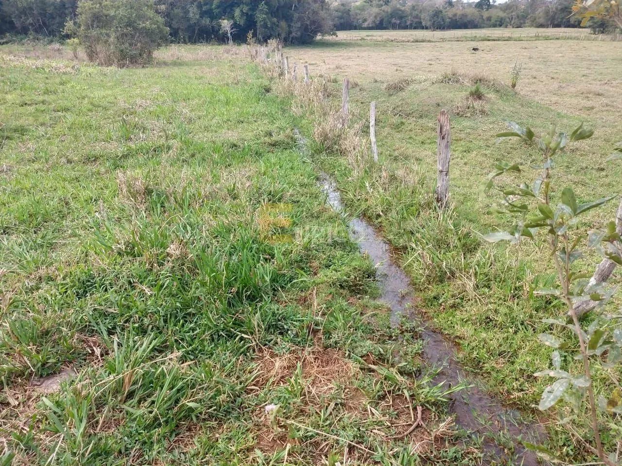Terreno à venda no Rio Do Peixe em Cambuí/MG - Foto 3