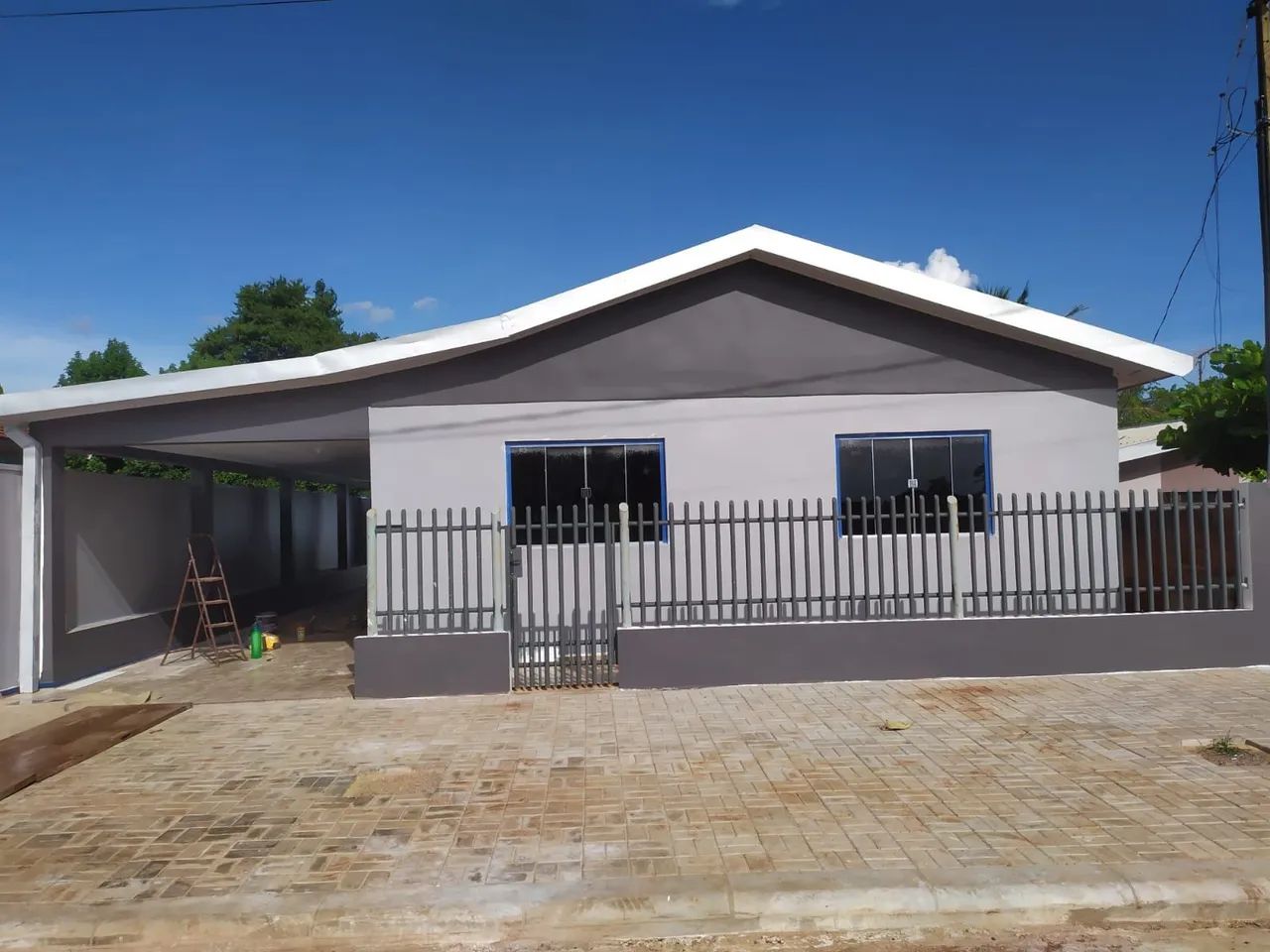 Pintor professional 