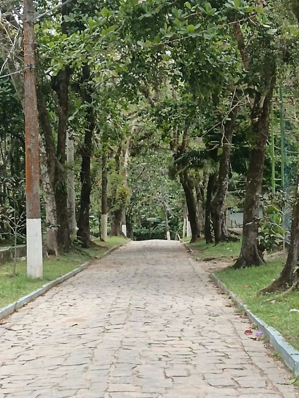 Alugo Flat em Vargem Grande - Foto 3