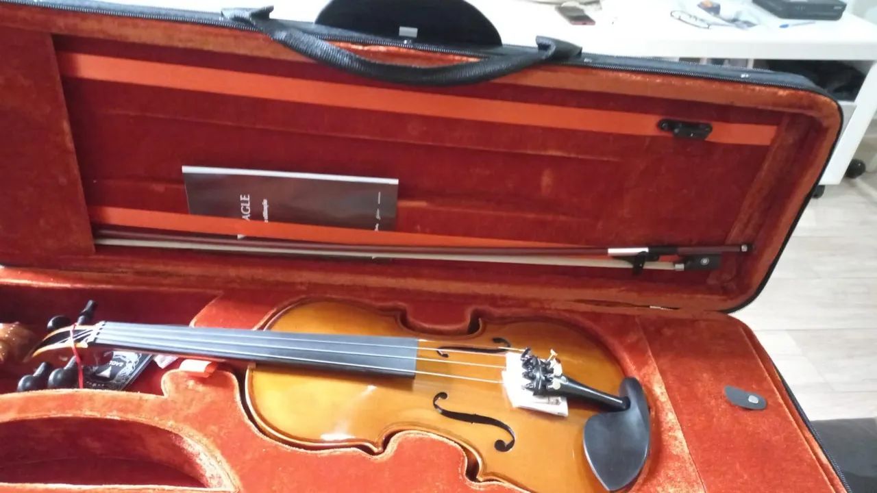 Violino Eagle VE 144  - Foto 3