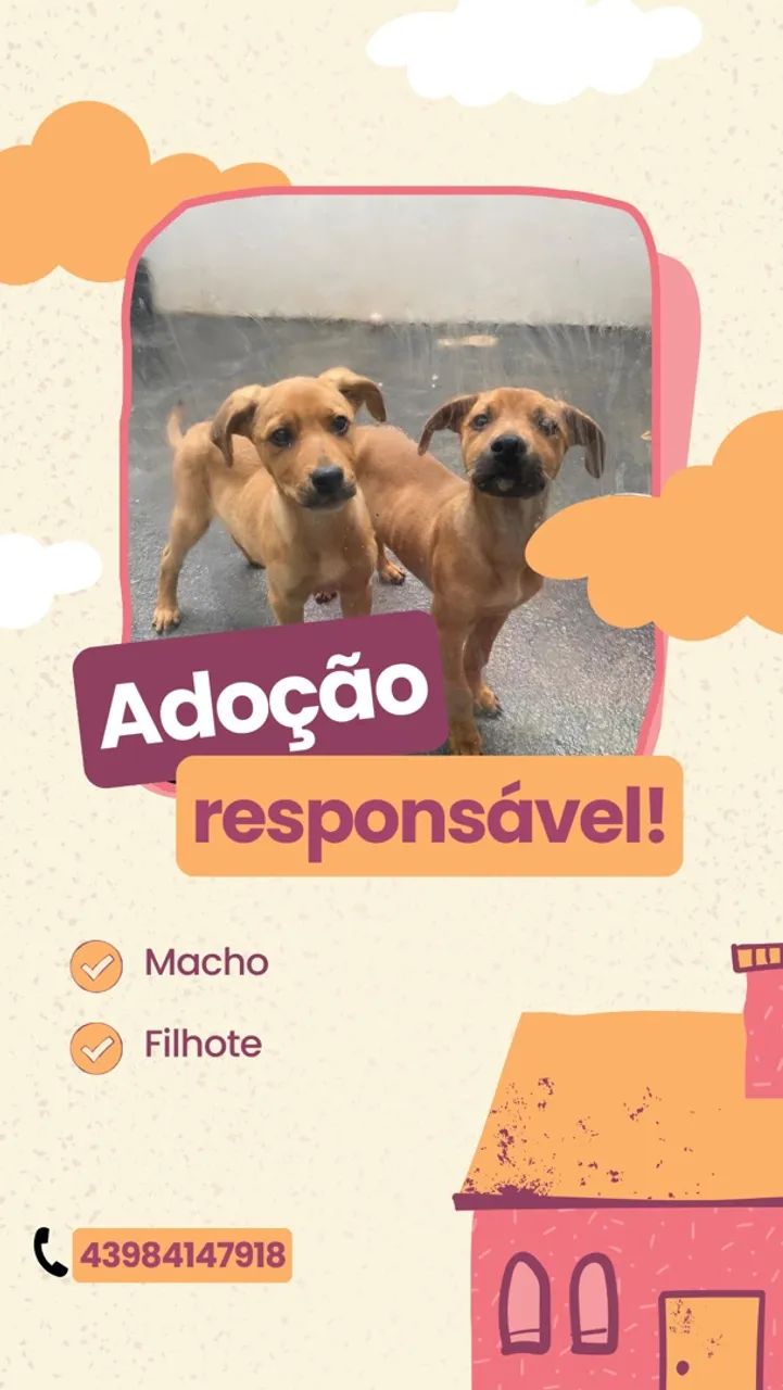 Adote