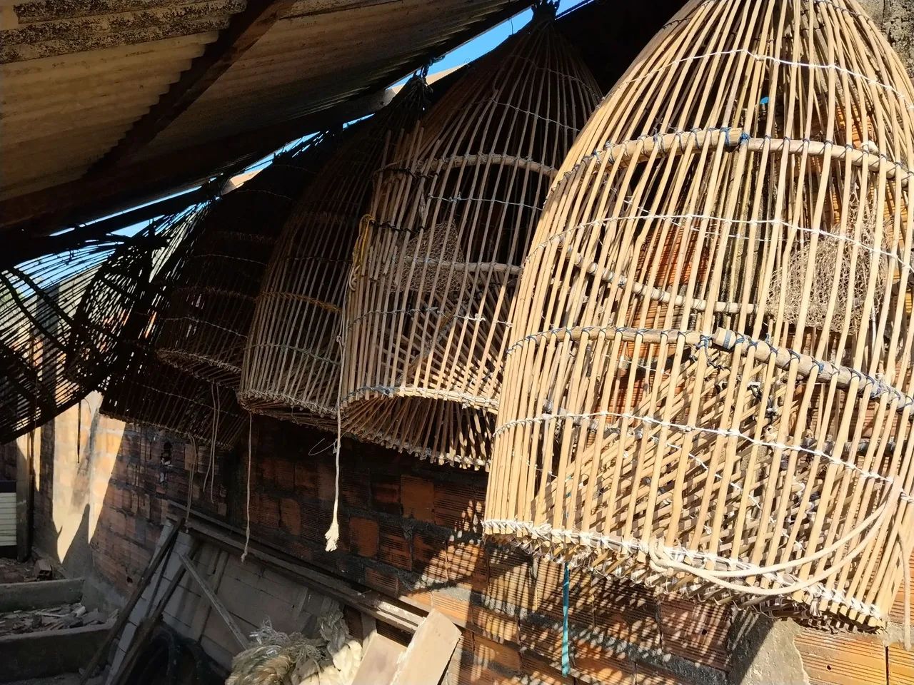 Manzua de pesca. R$500,00 reais  - Foto 4