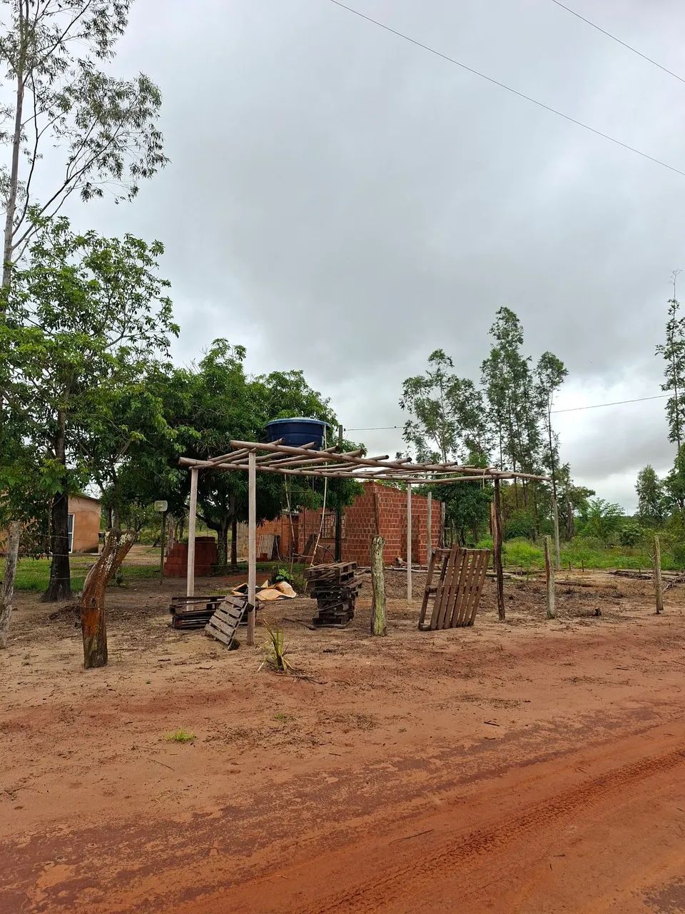 Vendo Chácara a 100 km de CG  - Foto 4