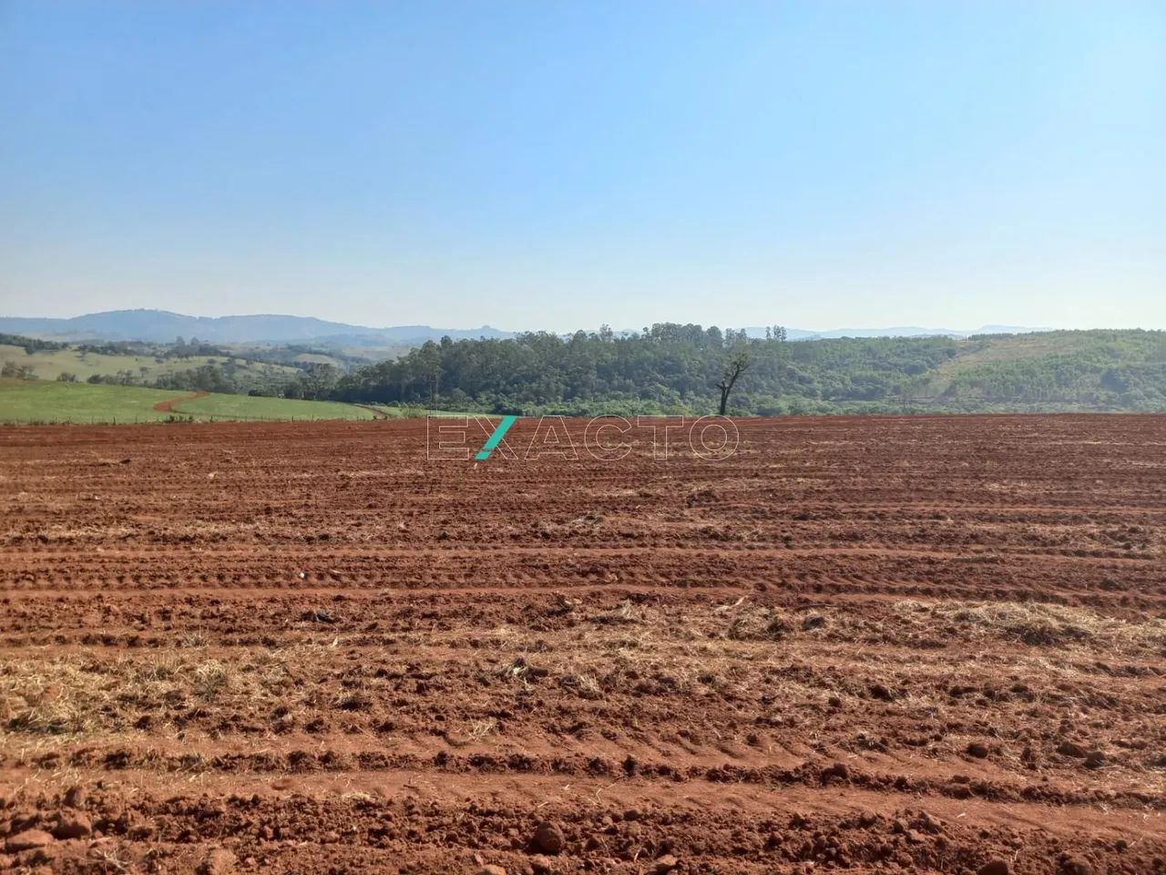 sítio - Centro - Jacutinga - Foto 3