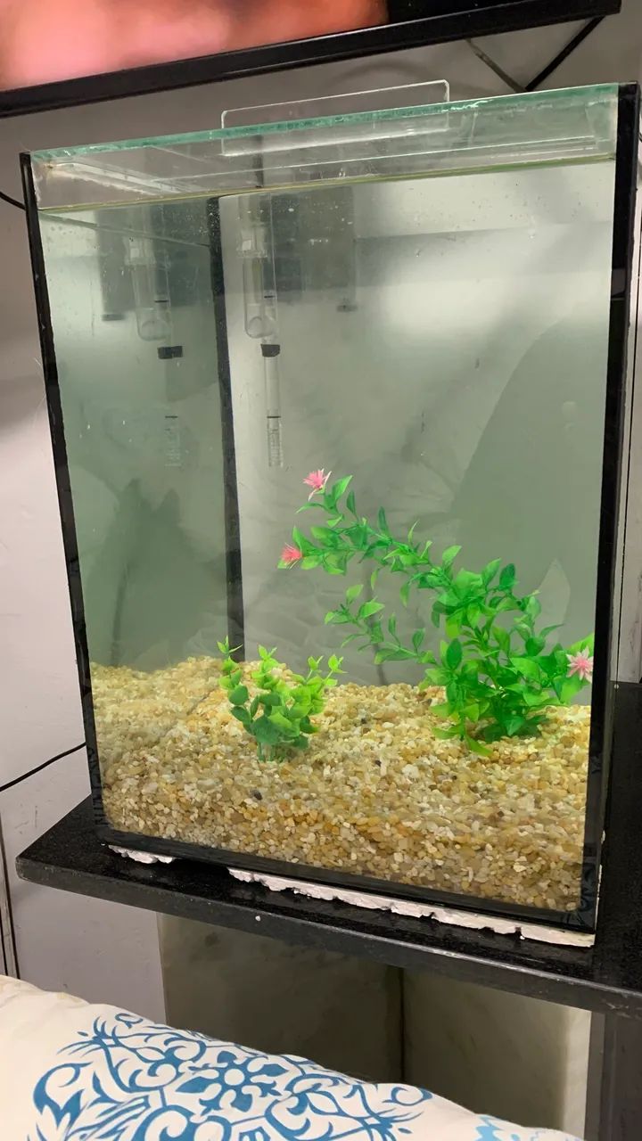 Vendo Aquario cubo com tampa - Foto 4