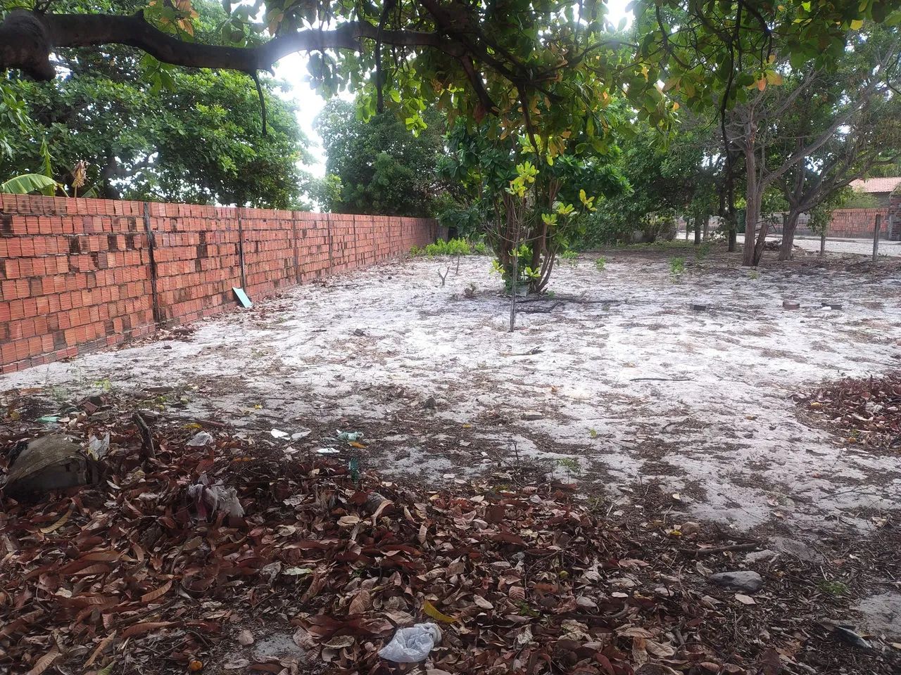 Terreno próximo a taiba 40x20  - Foto 4