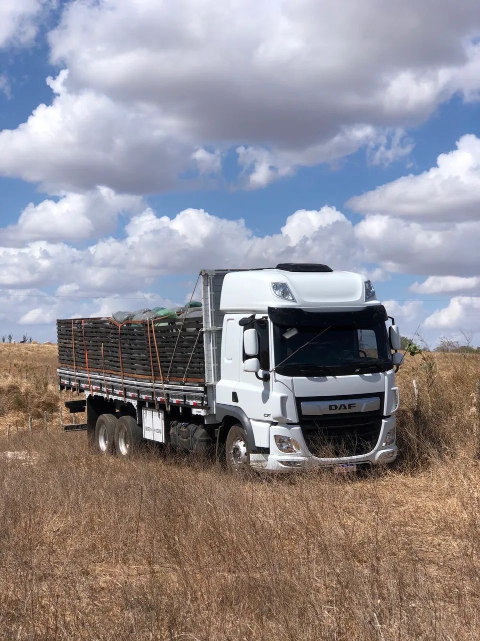 Silagem De Milho ? - Foto 5