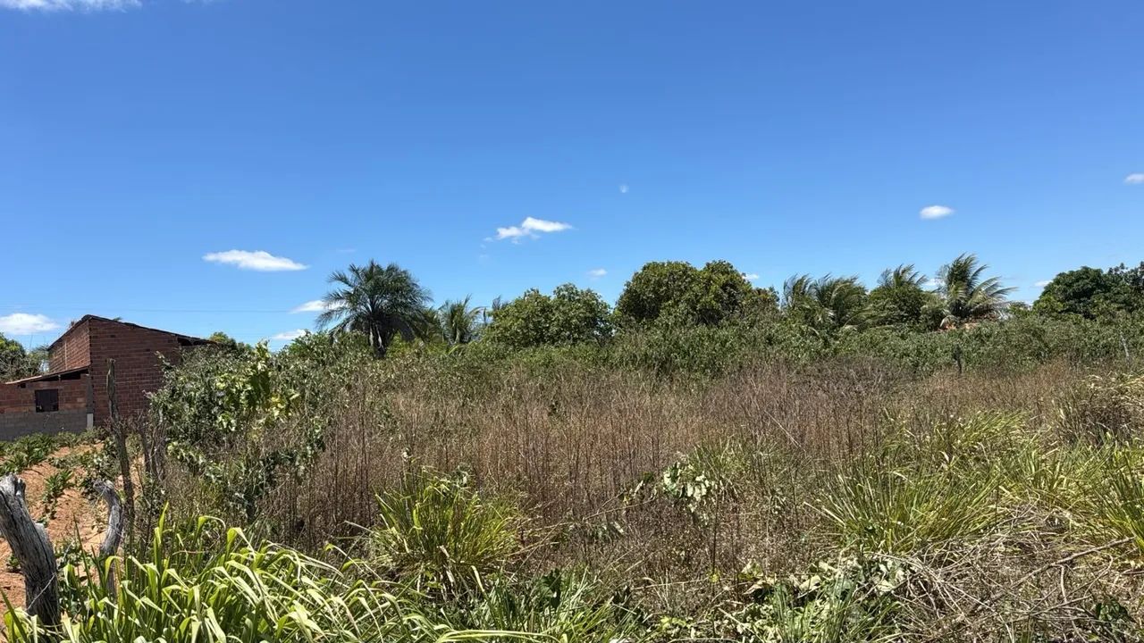 Terreno 