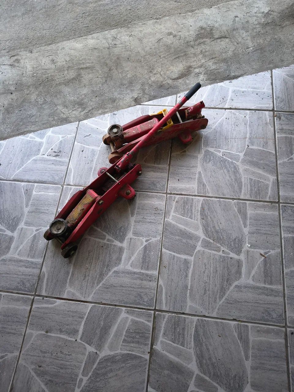 Jacaré 