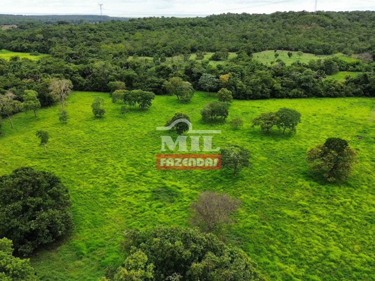 Fazenda 120Alqueires (581 Hectares) Dueré - TO - Foto 3