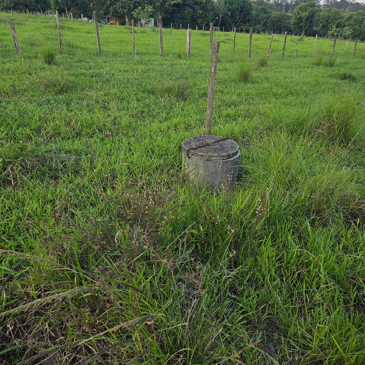Terreno a venda em ubas  - Foto 2