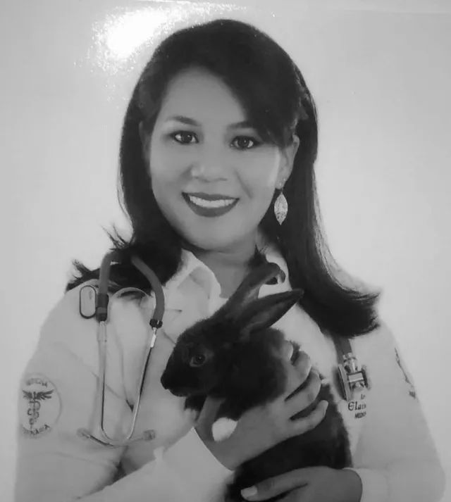 Atendimento Veterinário com Segurança e Qualidade