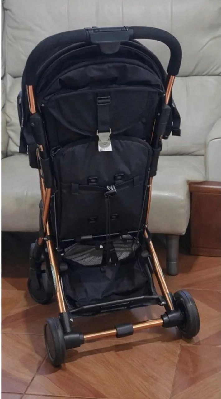 Carrinho de bebê (Zap  Burigotto)