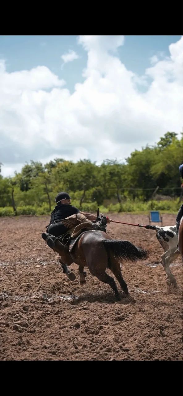 Porda de direita - Foto 3