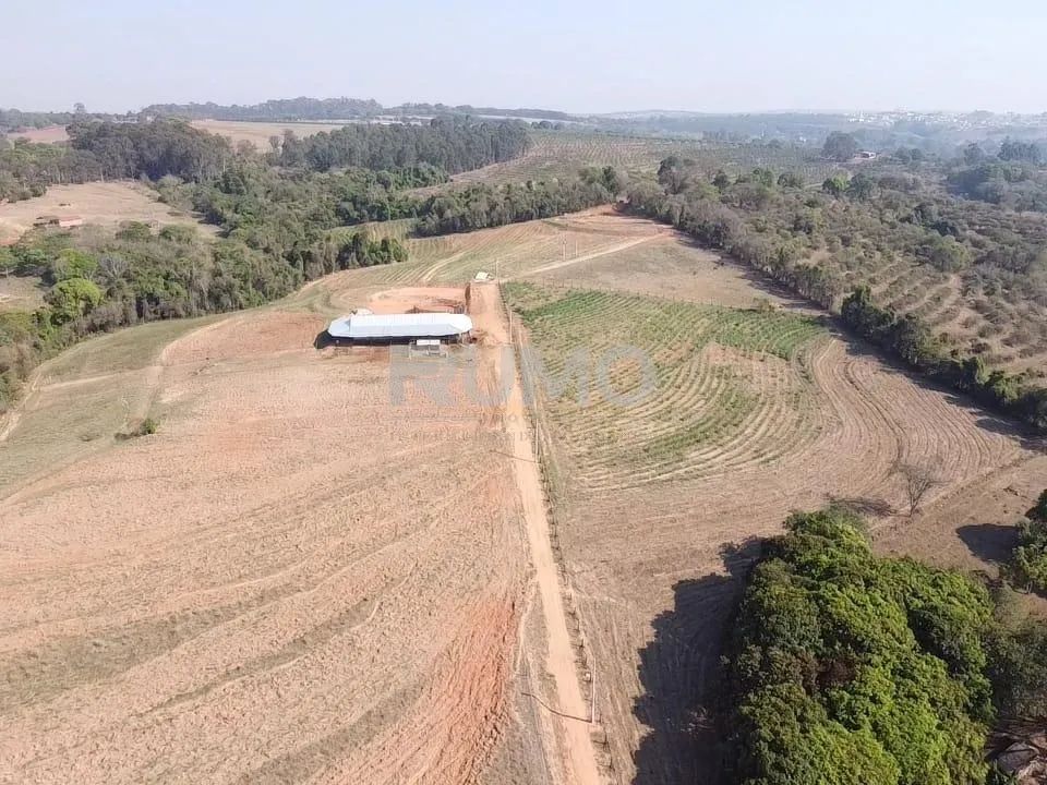 sítio - Centro - Santo Antônio de Posse - Foto 5
