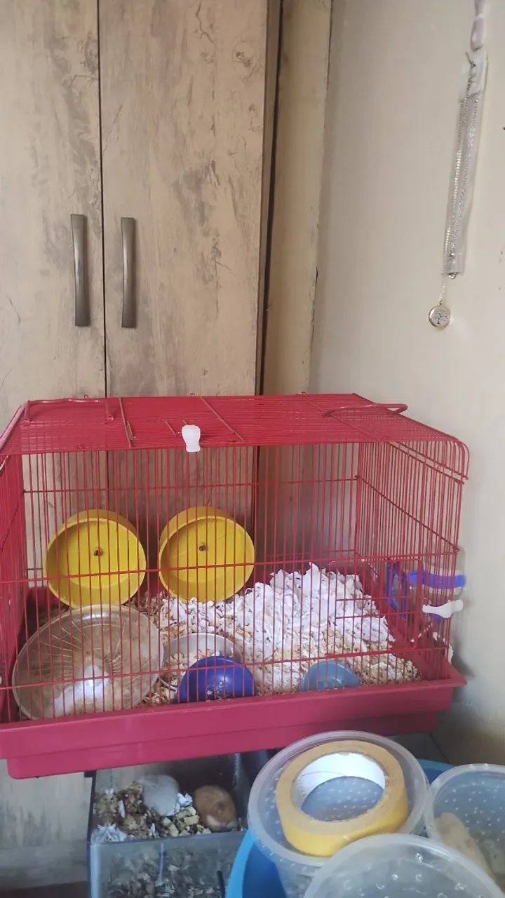 Gaiola com hamster junto 