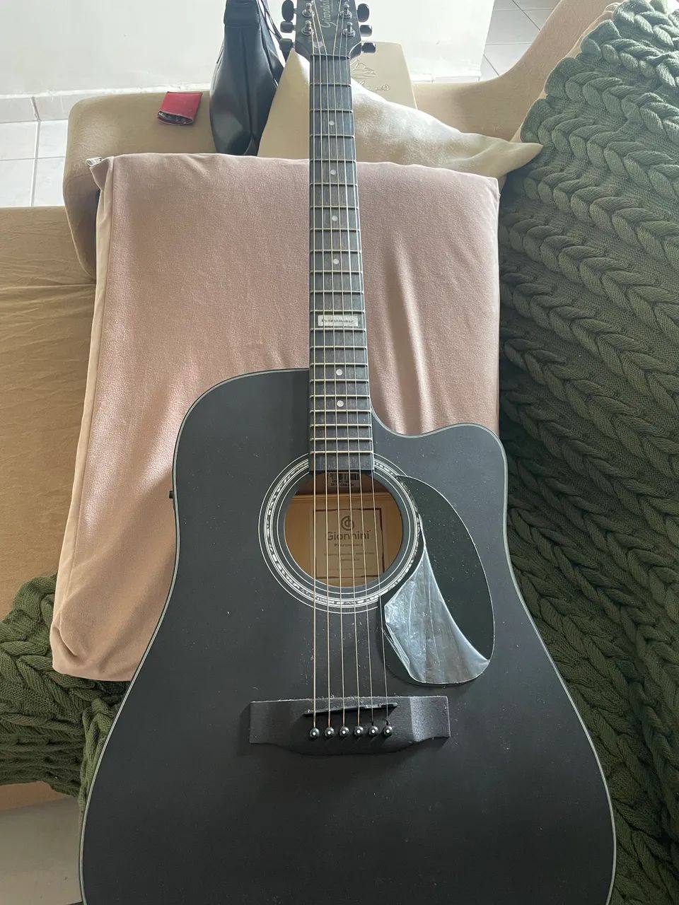 Giannini performance + capa
