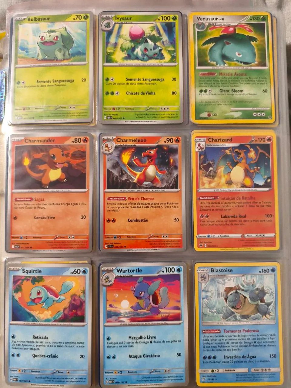 Pasta de Cartas Pokémon 1165 cartas