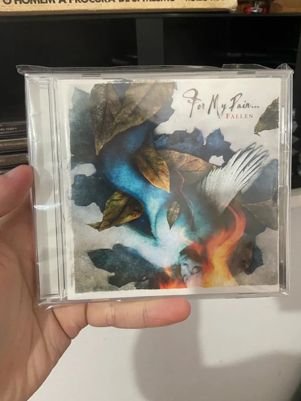 CD For My Pain? - Fallen