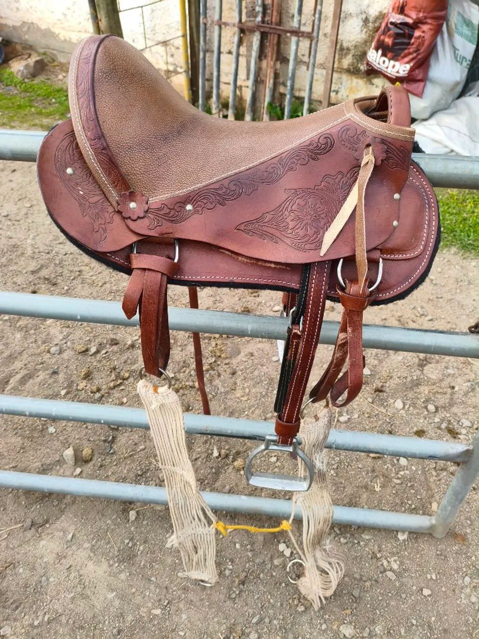 Sela australiana  - Foto 2