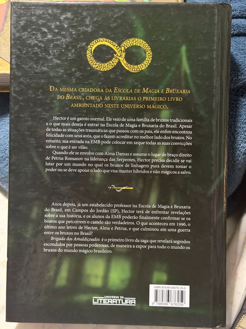 Livro brigada dos amaldiçoados  - Foto 3