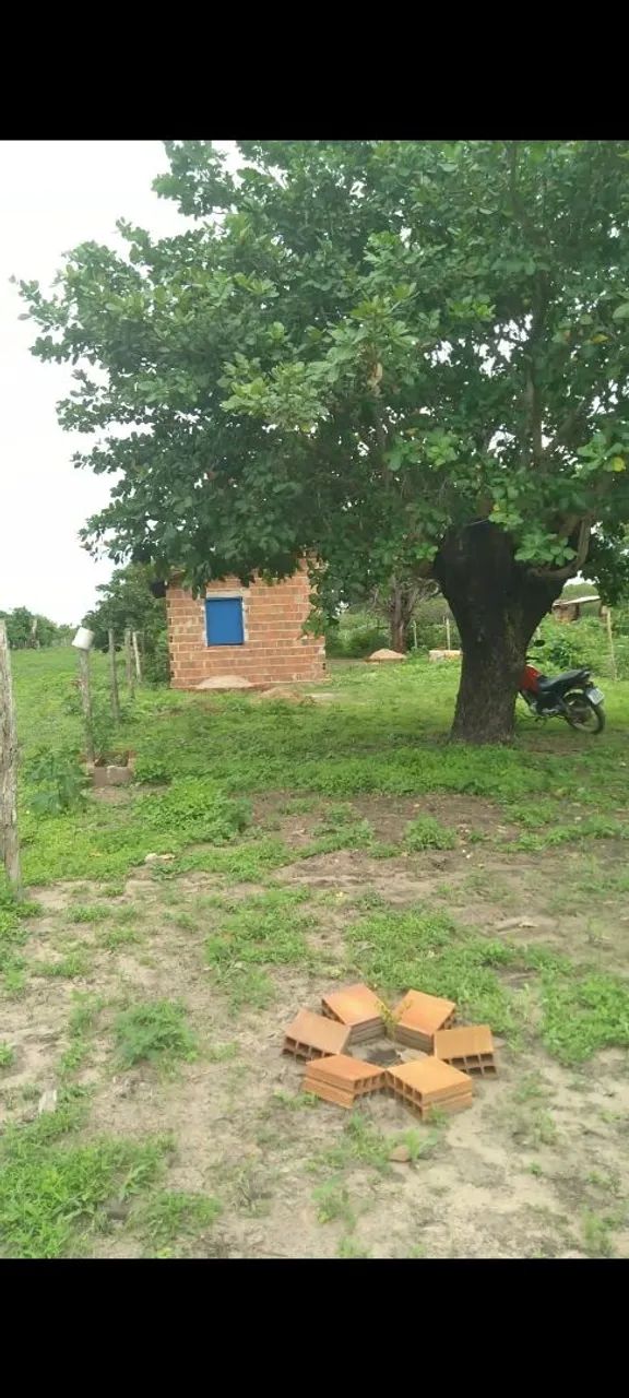 Terreno em Paraipaba Ceará  - Foto 2