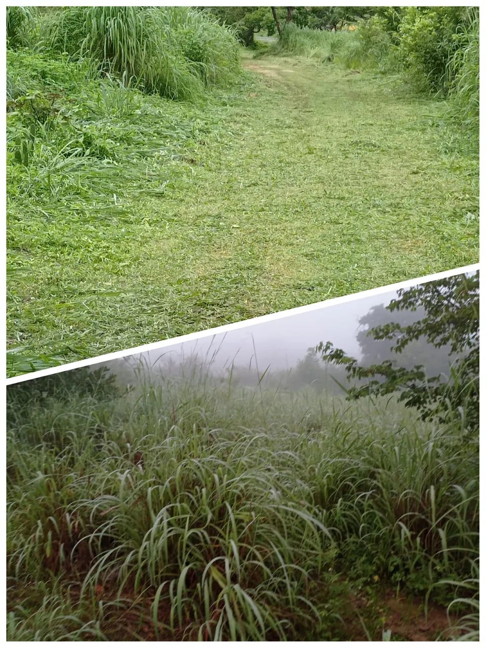 Vendo Fazenda  - Foto 3