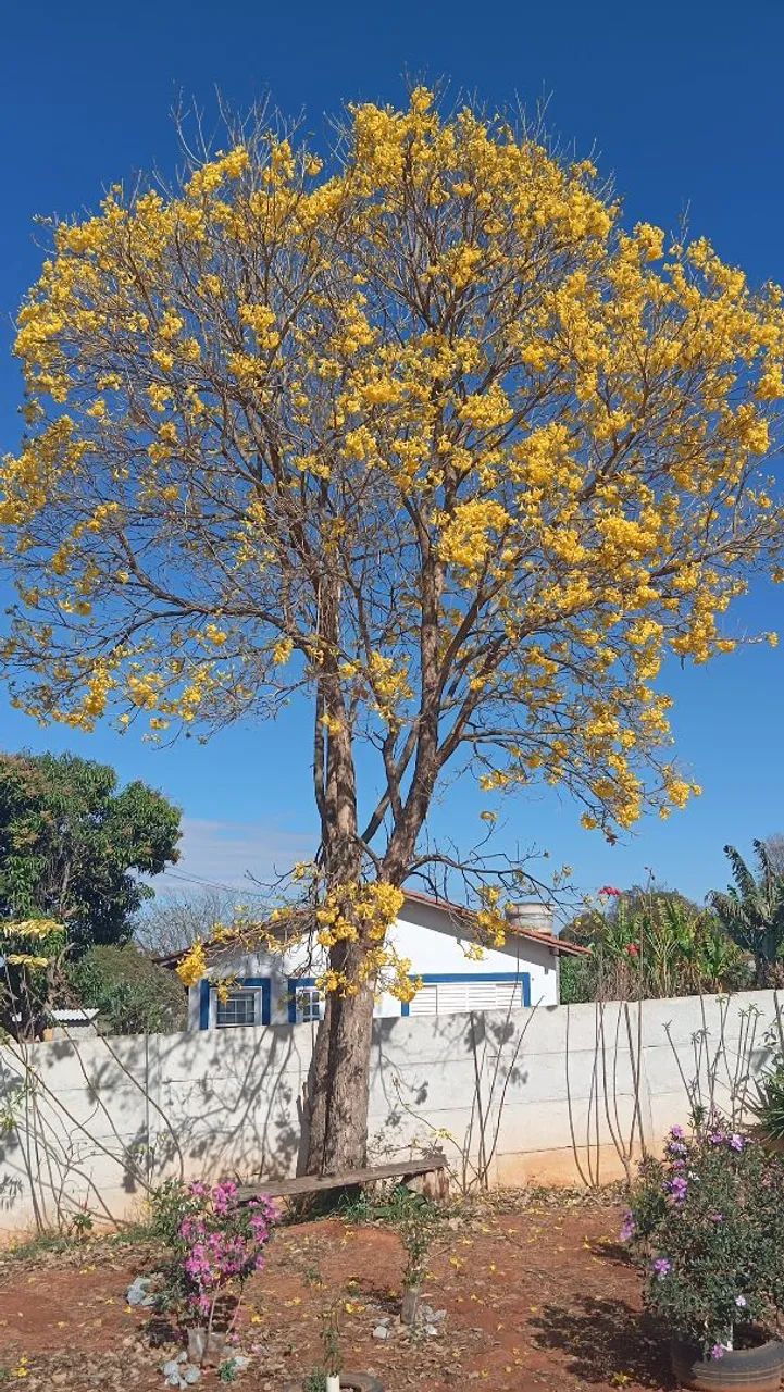 Vendo ou troco  - Foto 3