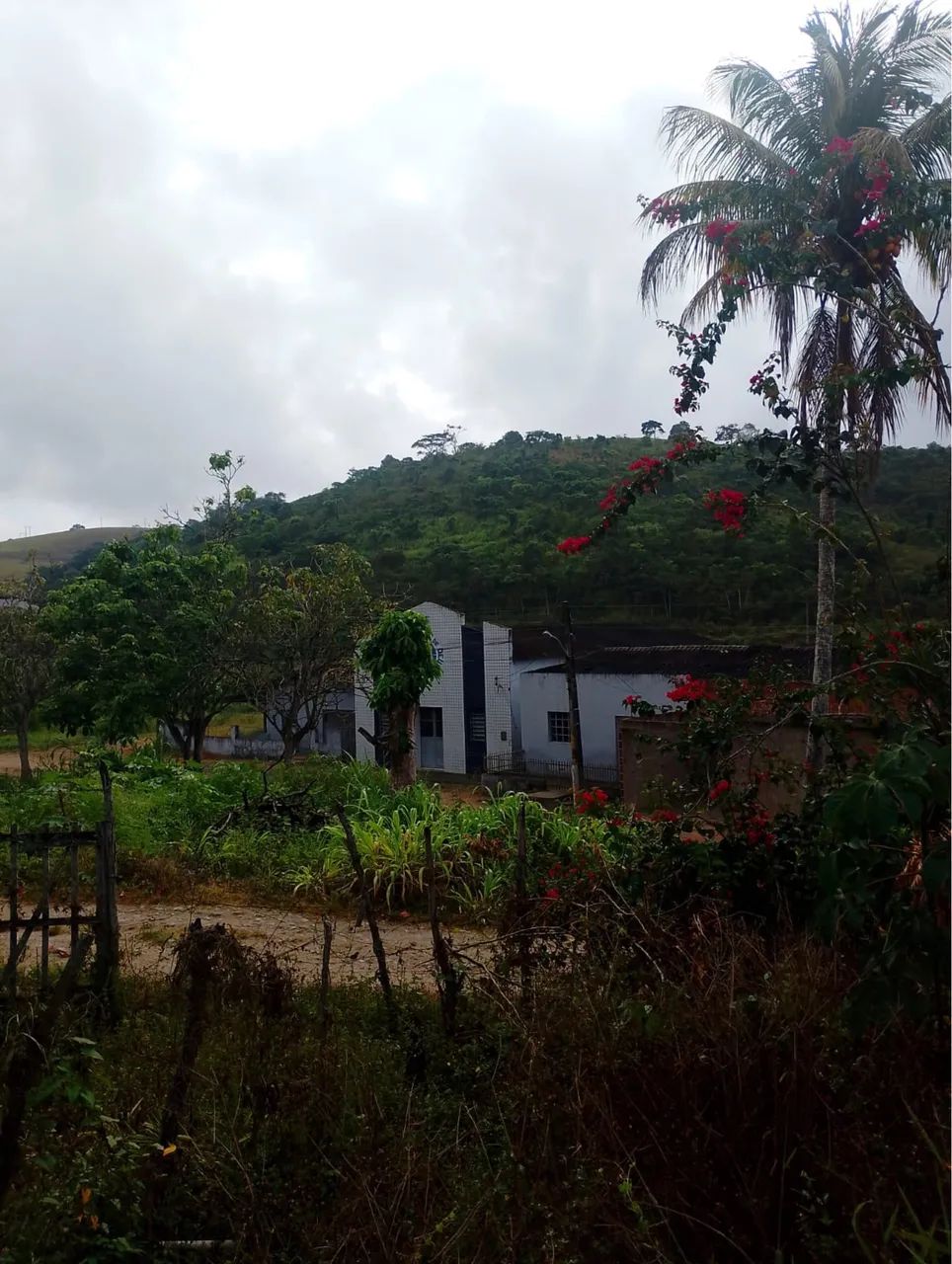 Sítio em pombos  - Foto 3