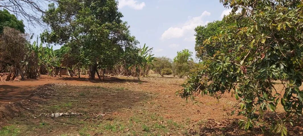 Chácara a 8 km de Brazlândia - Com Escritura 10.000m² - Foto 5
