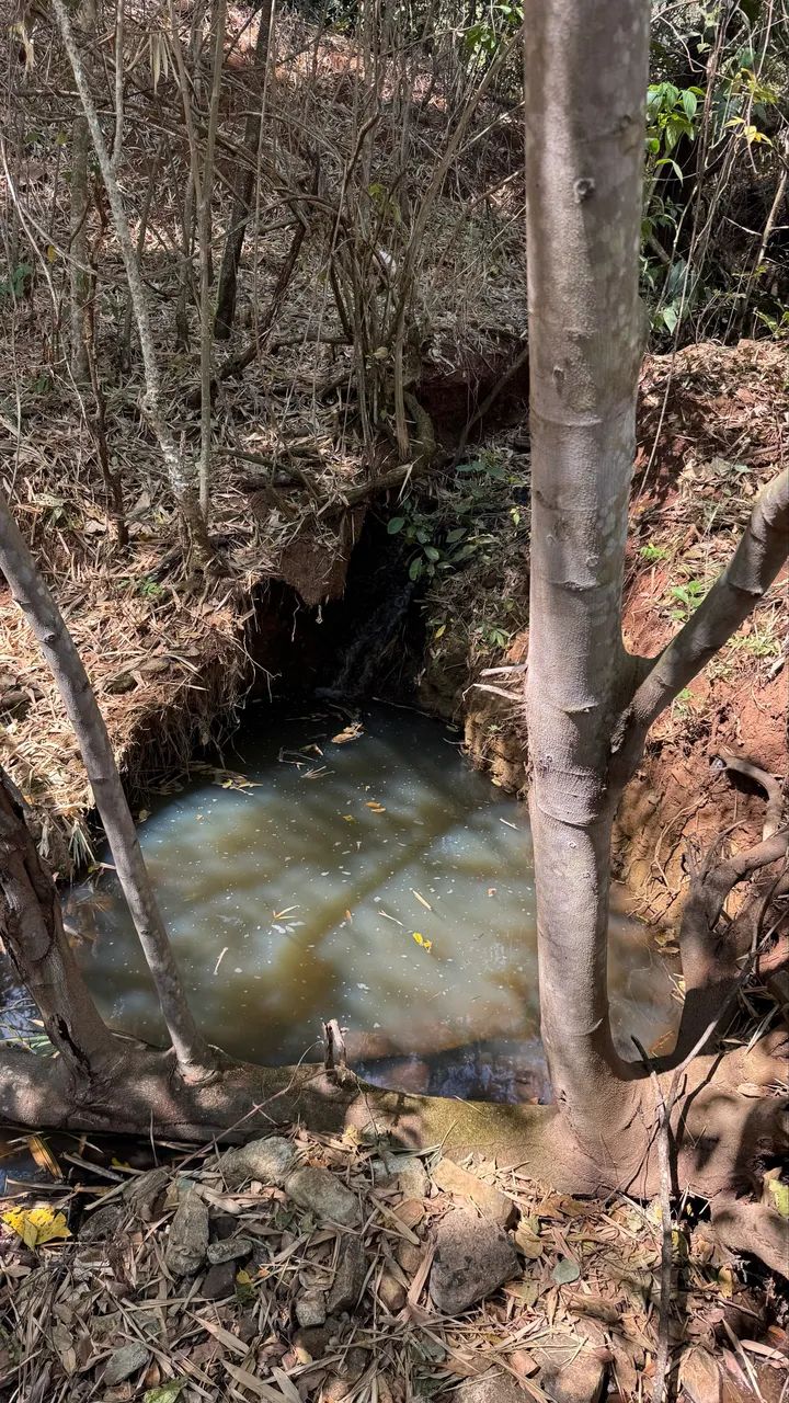 2 Alqueires em Goiás velho, terra boa  - Foto 3