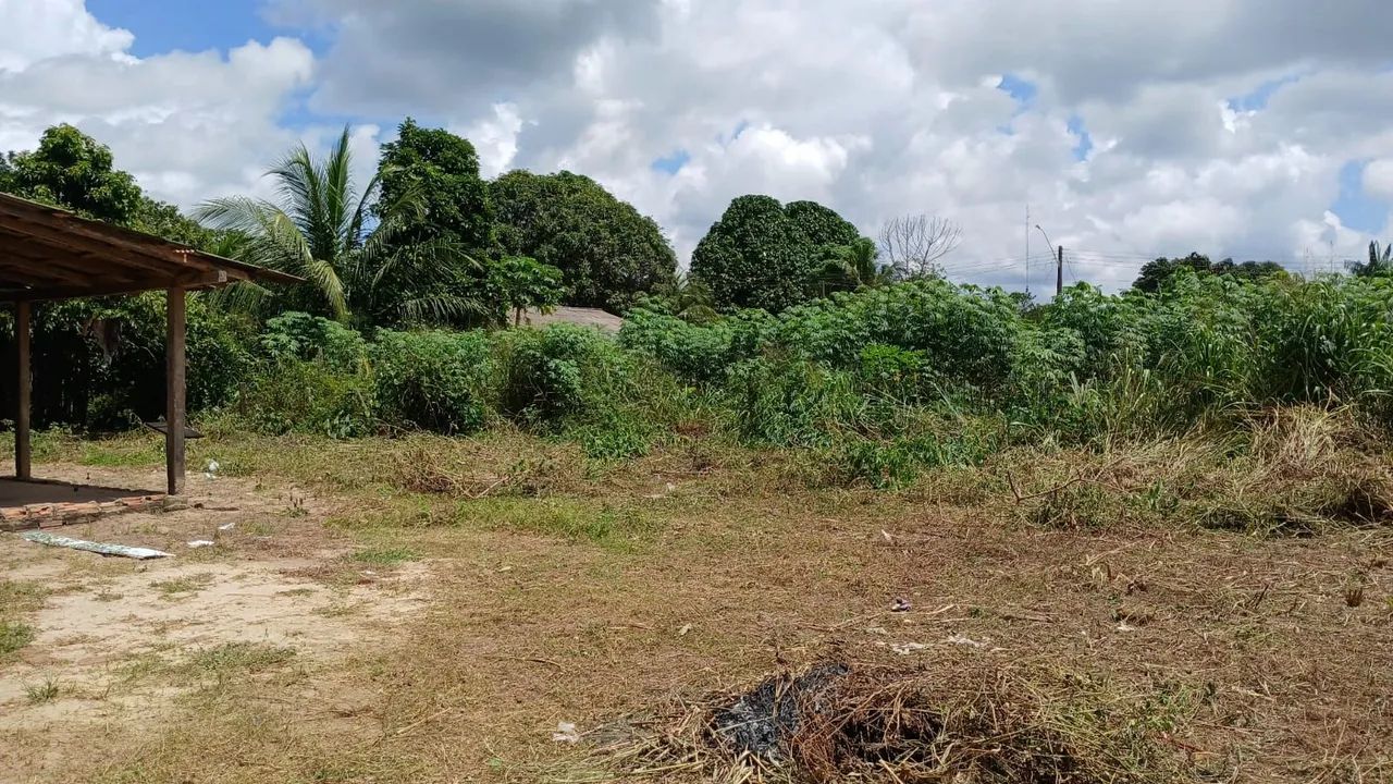 Vendo terreno Na vila Sumaúma. Município d Alto Alegre e Mucajaí  - Foto 4