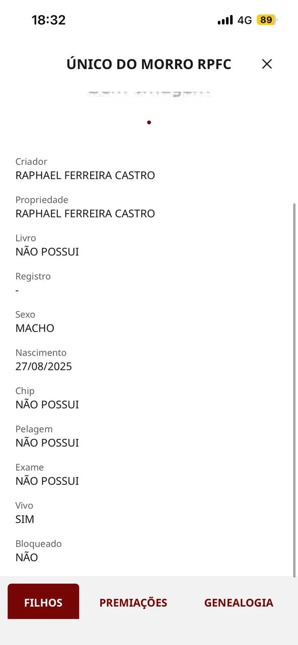 Potro registrado  - Foto 5