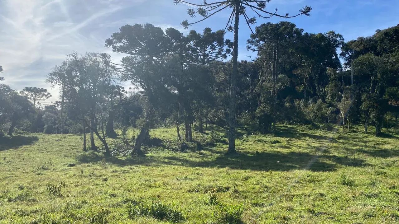 sitio a venda em Urupema - Foto 3