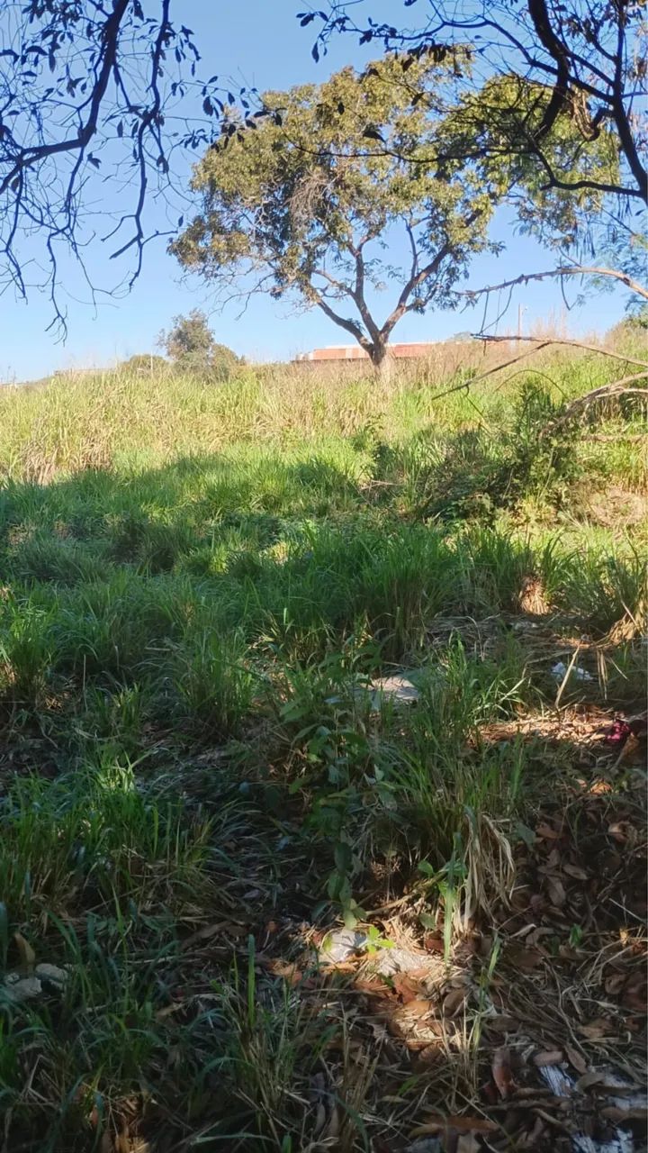 VENDE -SE CHÁCARA  - Foto 5