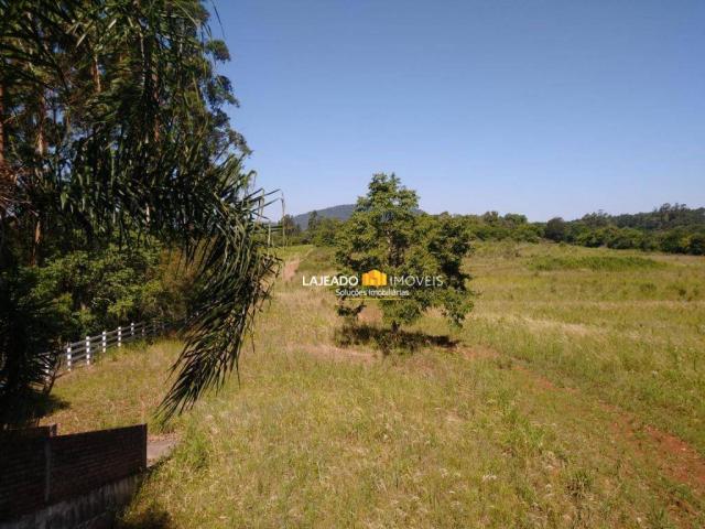 Sítio para alugar, 6500 m² por R$ 1.180,00/mês - Zona Rural - Colinas/RS - Foto 9