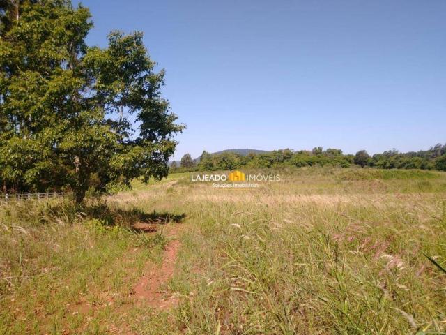 Sítio para alugar, 6500 m² por R$ 1.180,00/mês - Zona Rural - Colinas/RS - Foto 18