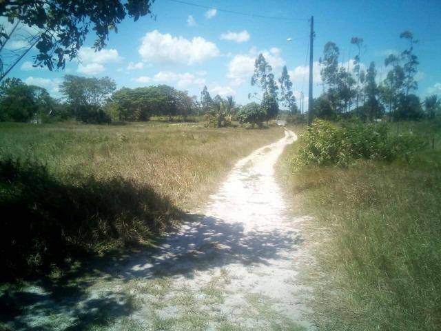 Sitio Ouro achado