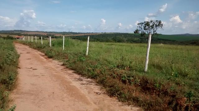 Fazenda de 4 alqueires para pecuária a venda na região de Caldas Novas GO - Foto 2
