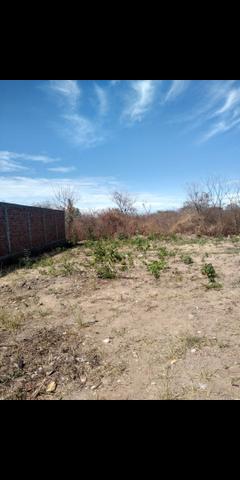 Terreno - Foto 2