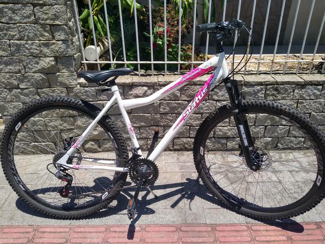 Vendo status aro 29