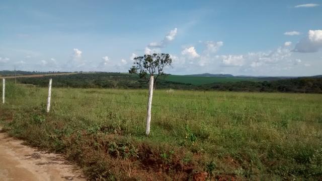 Fazenda de 4 alqueires para pecuária a venda na região de Caldas Novas GO - Foto 4