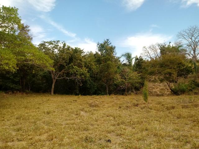 Chácara 30mts por 180 mts - Foto 15