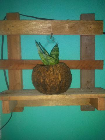 Suporte para plantas - Foto 3
