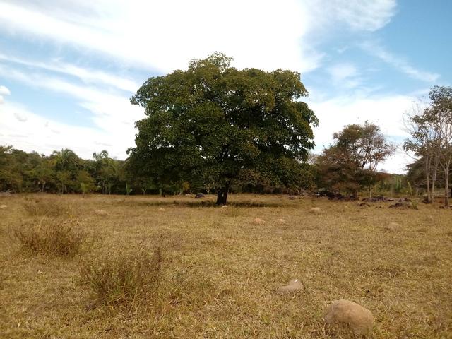 Chácara 30mts por 180 mts - Foto 18