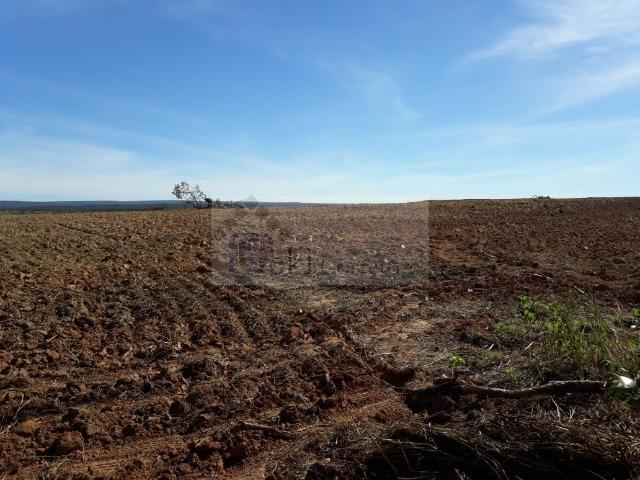 Fazenda no Mato Grosso 5.276 ha venda total - parcial ou permuta - Foto 2
